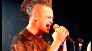 The Screaming Jets  Think Live  MTV Pub [upl. by Adall]