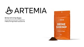 How to Hatch Live Brine Shrimp  Quick Tutorial [upl. by Giustina]