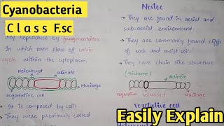 Cyanobacteria In Urdu  Class 11 Biology [upl. by Siradal719]