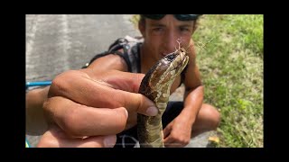 We Almost Hit a VENOMOUS SNAKE Fishing trip with my dog [upl. by Vonnie775]