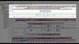 Working With Your Mutation Surveyor Project in the Graphical Analysis Display Part I [upl. by Kerwon]