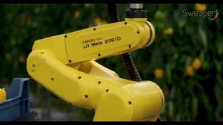 The SWEEPER robot English [upl. by Amada]