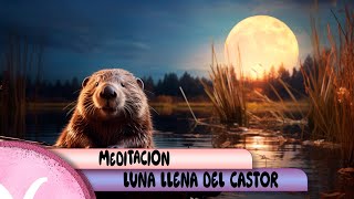 Meditación Luna Llena del Castor [upl. by Nowahs]