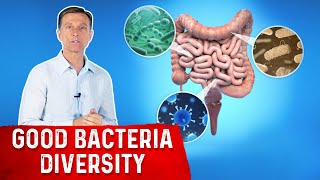 Increase Gut Bacteria Diversity Heres How [upl. by Agnimod]