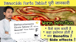 Banocide forte tablet  Diethylcarbamazine citrate tablets ip 100mg  Uses  Dose  Sideeffects [upl. by Amabel]