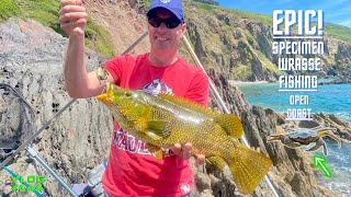 Sea Fishing Uk  Epic Wrasse Fishing With Crab  Vlog144 [upl. by Seftton]