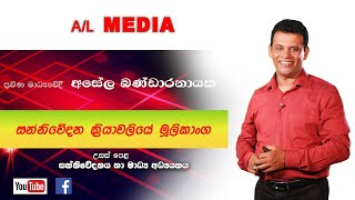 24 Sanniwedanye mulikanga සන්නිවේදනයේ මූලිකාංග  Asela Bandaranayake  AL Media  උපෙළ මීඩියා [upl. by Akino126]