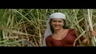 Malayalam Movie Song  Karimpin Poovinakkare Akkare Karimpinpoovinakkare  Malayalam Film Song [upl. by Felipe350]