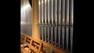 Löwenzahn Intro für Orgel Musik der bekannten Serie [upl. by Christa]