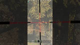 Dayz Rearmed EU Main Lucky Kill [upl. by Thomasine]