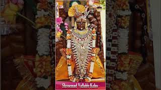 Shreemad Vallabh Kaho  શ્રીમદ વલ્લભ કહો [upl. by Dredi]