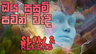 Oya Susum Pawan Wadi  Slow amp Reverb  Bass Boosted manoparakata chamaraweerasinghe love [upl. by Llatsyrc572]