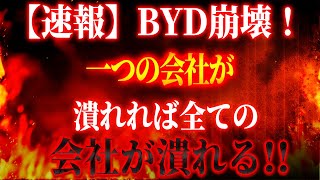 【速報】BYD崩壊！一つの会社が潰れれば全ての会社が潰れる！小鵬モータース、ニオとWMモーターがドミノの破産を発表 [upl. by Demmer828]