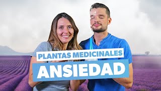 Cómo controlar la ansiedad con plantas naturales [upl. by Aret465]