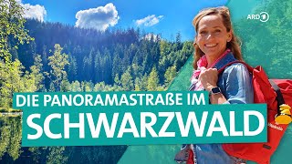 Der Schwarzwald – Von Freudenstadt über die Hochstraße nach BadenBaden  ARD Reisen [upl. by Rihana]