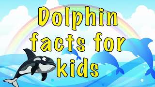 Dolphin facts for kids [upl. by Lemire]