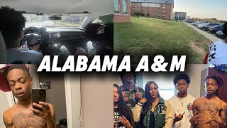 Alabama AampM Homecoming Vlog [upl. by Anez38]