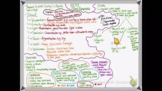 OCR A LEVEL BIOLOGY  UNIT 55 PART 1  PLANT RESPONSES [upl. by Torbert]