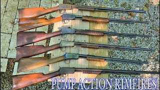 PUMPACTION RIMFIRE EXTRAVAGANZA [upl. by Amehr]