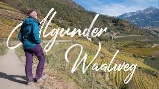 Herbstliche 🍂🍃🍁 Wanderung auf dem Algunder Waalweg  Vlog 91  SÜDTIROL 🇮🇹 [upl. by Lynette]