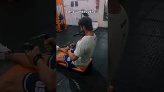 hipertrofia academia treino musculação dicasdetreino [upl. by Liv]