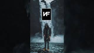 NF  The Search Slowed [upl. by Navad]