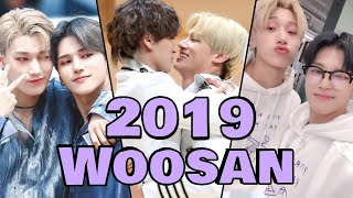 Woosan in 2019  in Chronological Order [upl. by Assirral]