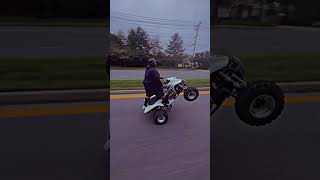 Can He Wheelie🤔 ltz400 bikelife wheelie suzuki atv [upl. by Ahsikyt]