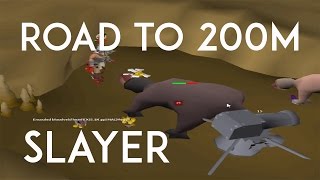 Road To 200M Slayer  Slayer Tab Is Growing  RIP Agility Method  93M200M [upl. by Kellene]