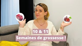 🤰🏼 MA 10 amp 11 EME SEMAINES DE GROSSESSE  Des Pets  Vomito mais prise de poids  C’est possible  😰 [upl. by Noit]