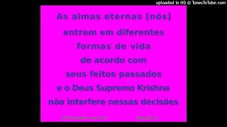 As almas eternas nós entram em diferentes formas de vida de acordo com seus feitos kfm9121 [upl. by Vinay]