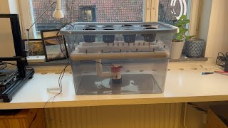 DIY aeroponics system [upl. by Azelea107]