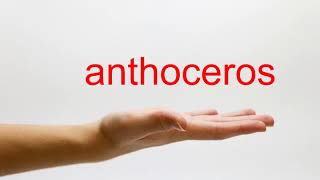 How to Pronounce anthoceros  American English [upl. by Dorinda310]