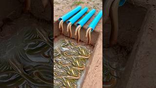 Survival Skills Simple But Very Useful with eel trap shorts survival bushcraft outdoors [upl. by Oznecniv]