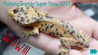 Pomona Reptile Super Show August 2023 HD 1080p [upl. by Enailil107]