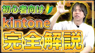 この動画でkintoneが分かります [upl. by Chil]