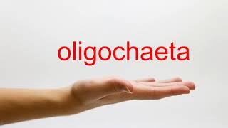 How to Pronounce oligochaeta  American English [upl. by Alleirbag]