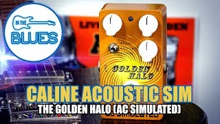 Caline Acoustic Golden Haloquot Guitar Simulator AC Simulator Pedal [upl. by Corson733]