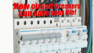 How circuit breakers can save your life  MCB RCCB Galvanic Isolation [upl. by Ydisahc]