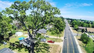 Historical Tree 276 Years old in Warner Robins Ga Arbor Day 2016 [upl. by Ydnab]