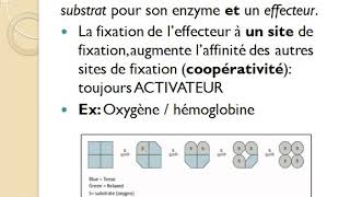 Chapitre 8 Régulation de lactivité enzymatique PART1 [upl. by Nnylyoj]