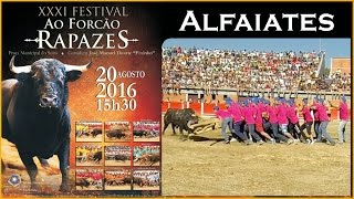 Ó Forcão Rapazes 2016  ALFAIATES  Capeia Arraiana [upl. by Heins897]