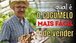 Qual é o cogumelo mais fácil de vender [upl. by Akialam]