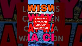 Waray Waray Cha Cha Dance LawiswisCawayan waraywaray chacha music [upl. by Acirrehs]