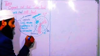 organelles  Cell amp Tissue Level Biology in College  1st year biology  chap1  Lec 5  50k [upl. by Llerdna]