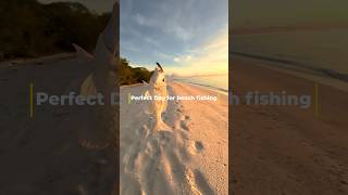 POV fishing fishing shortvideo shorts beach [upl. by Roath744]