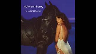 00s  Nolwenn Leroy – Moonlight Shadow  2010 [upl. by Braun933]