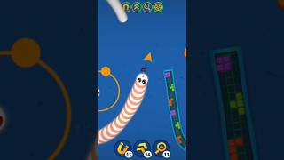 White worm VS Orange worm 🪱 wormies games wormszone worms [upl. by Eneloj628]