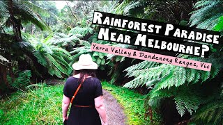 Yarra Valley amp Dandenong Ranges  Day Trip Ideas [upl. by Briano193]