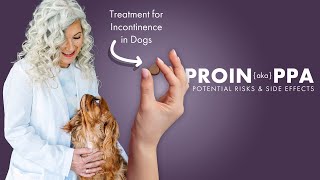 ProinPPA💊Incontinence Medicine for Dogs⚠️Potential Risks amp Side Effects [upl. by Hedaza]